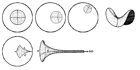 non euclidean geometry shapes