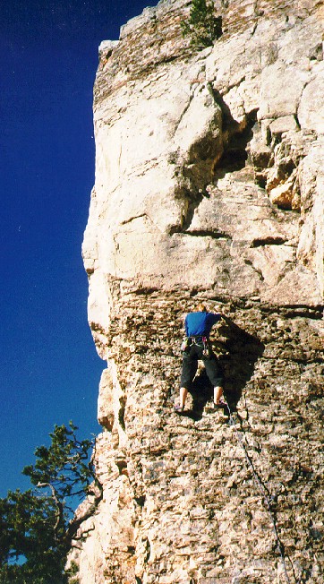 Jane on the Dove