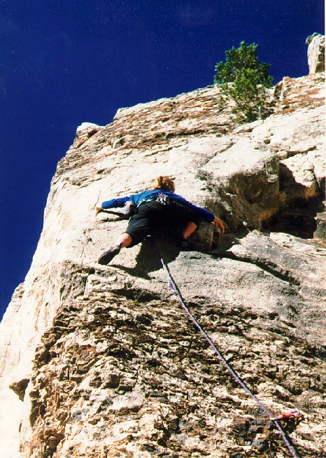 Jane on the Dove