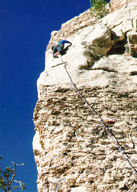 Jane on the Dove