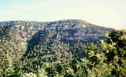 Palomas Peak