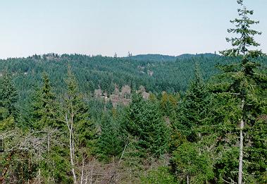 View from dome
