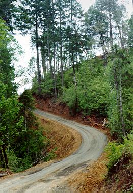 Driveway to dome